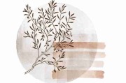 糖心vlog入口官网｜闪耀梳理话题矩阵 彩蛋别错过