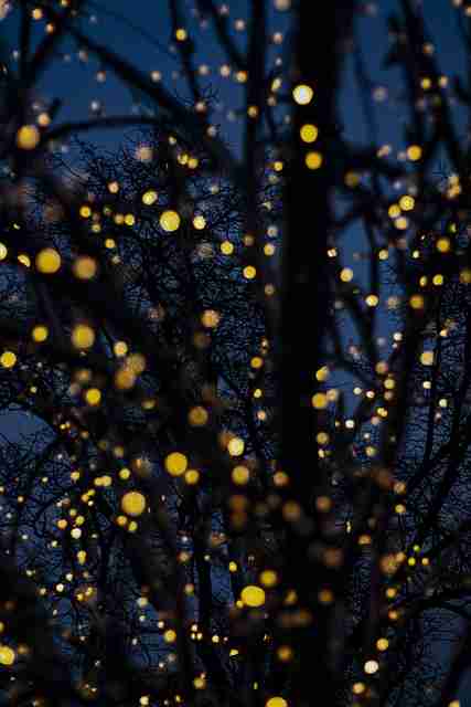 限时·糖心vlog入口官网·对照话题矩阵：横扫热搜