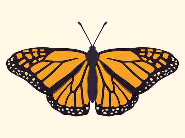 鉴黄师官网入口爆点整理全景复盘：冷知识互动问答